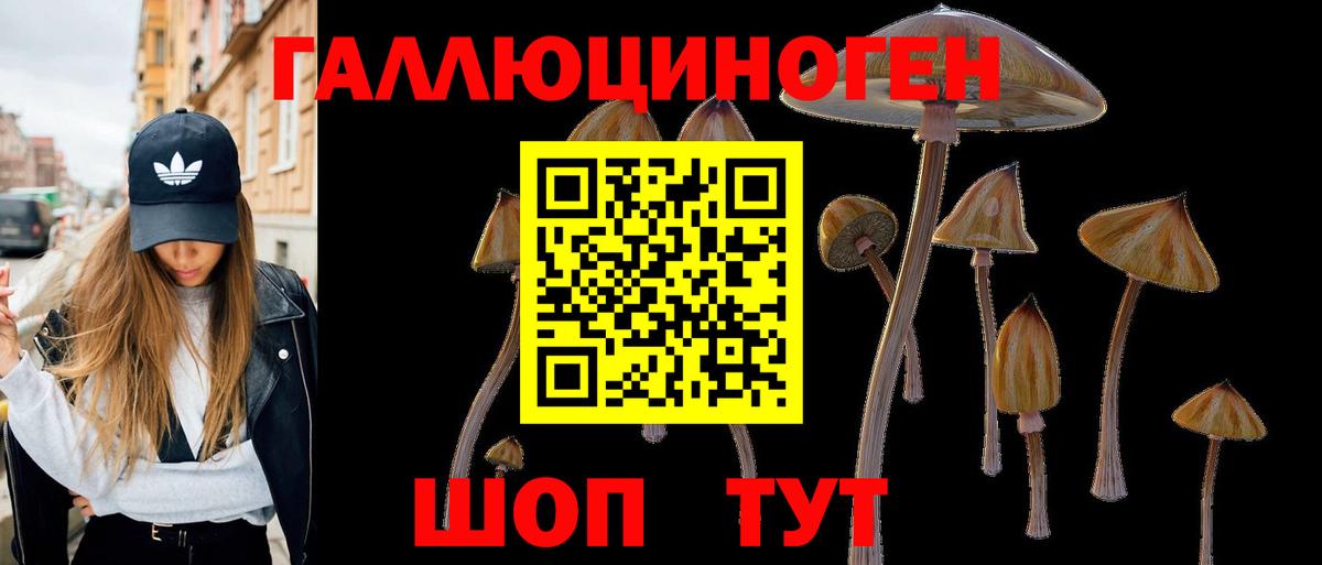 Галлюциногенные грибы Psilocybe Балаково